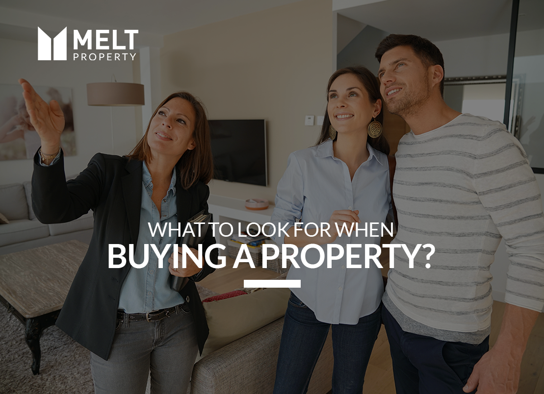 What to Look for when Buying a Property?